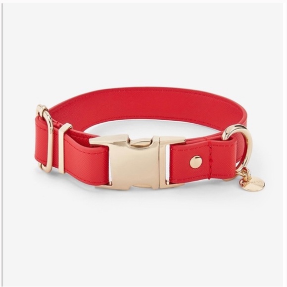 Express Red Faux Leather XS Dog Collar- NWT - Picture 1 of 10
